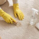 Step by step guide to clean your carpets.
